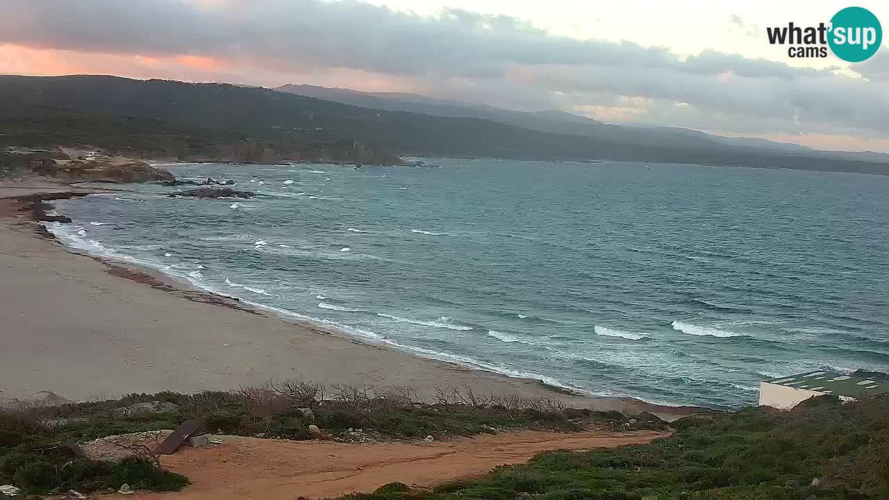 Plaža La Liccia v živo Rena Majore – Santa Teresa Gallura spletna kamera Sardinija