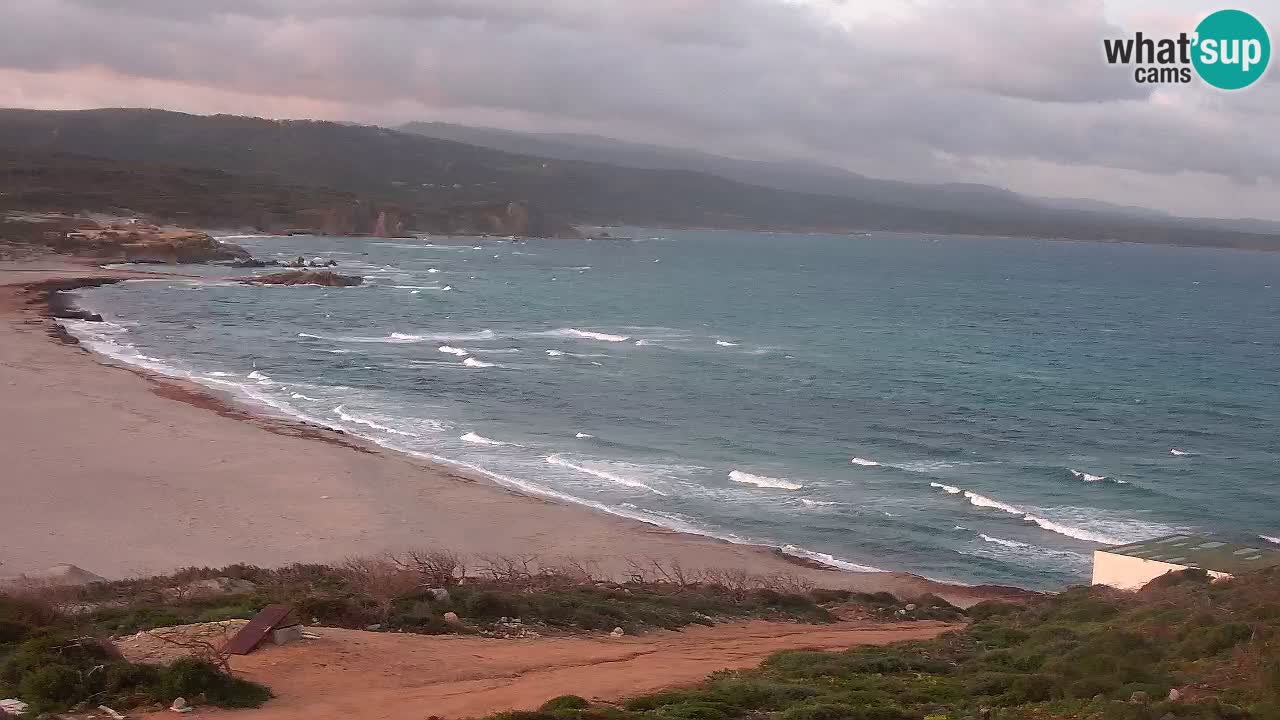 Plaža La Liccia v živo Rena Majore – Santa Teresa Gallura spletna kamera Sardinija