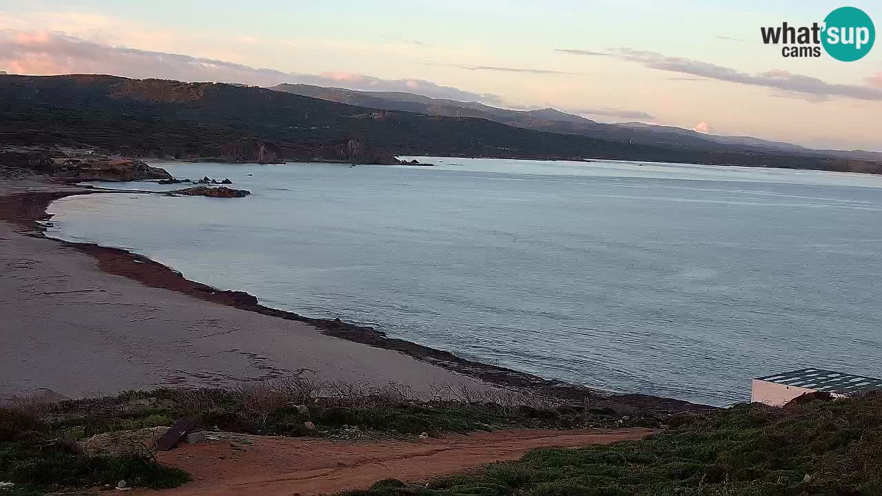 Plaža La Liccia v živo Rena Majore – Santa Teresa Gallura spletna kamera Sardinija