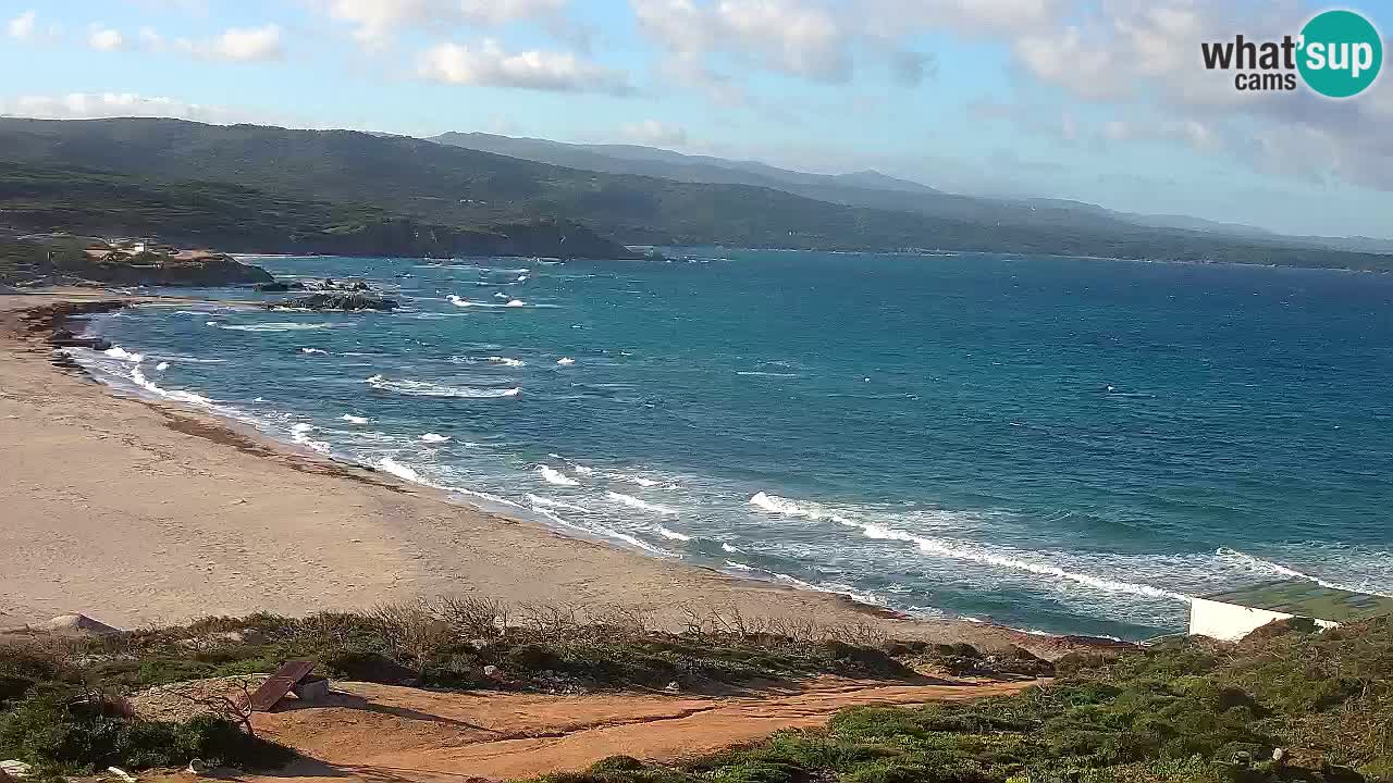 Plaža La Liccia v živo Rena Majore – Santa Teresa Gallura spletna kamera Sardinija