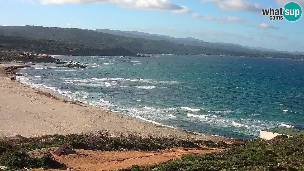 Plaža La Liccia v živo Rena Majore – Santa Teresa Gallura spletna kamera Sardinija