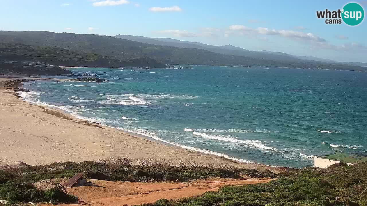 Plaža La Liccia v živo Rena Majore – Santa Teresa Gallura spletna kamera Sardinija