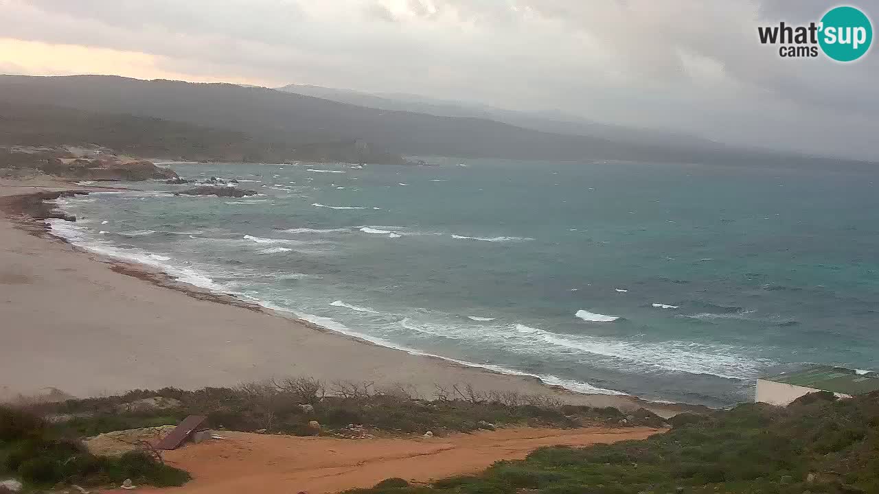 Spiaggia La Liccia webcam Rena Majore – Santa Teresa Gallura livecam Sardegna