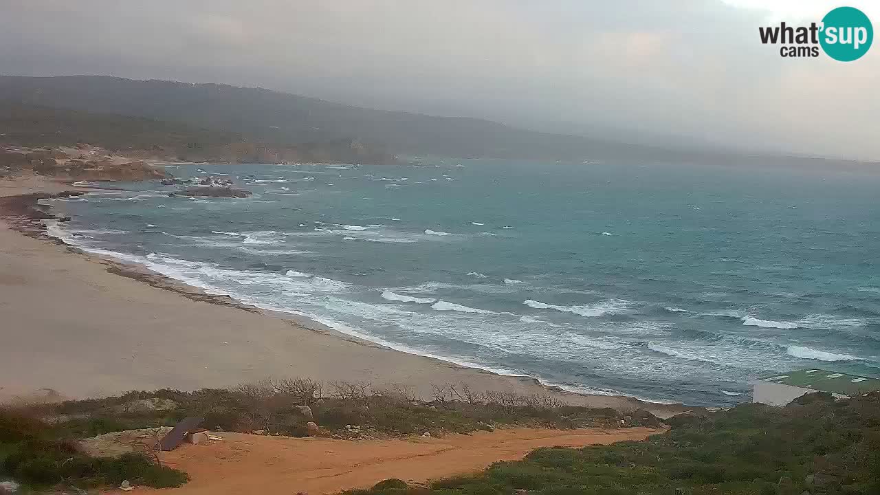 Plaža La Liccia u živo Rena Majore – Santa Teresa Gallura web kamera Sardinija