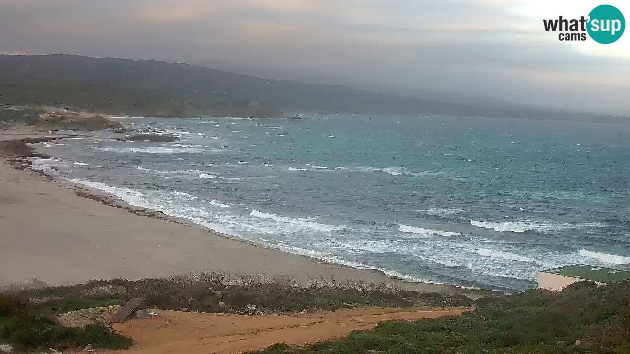 Plaža La Liccia v živo Rena Majore – Santa Teresa Gallura spletna kamera Sardinija