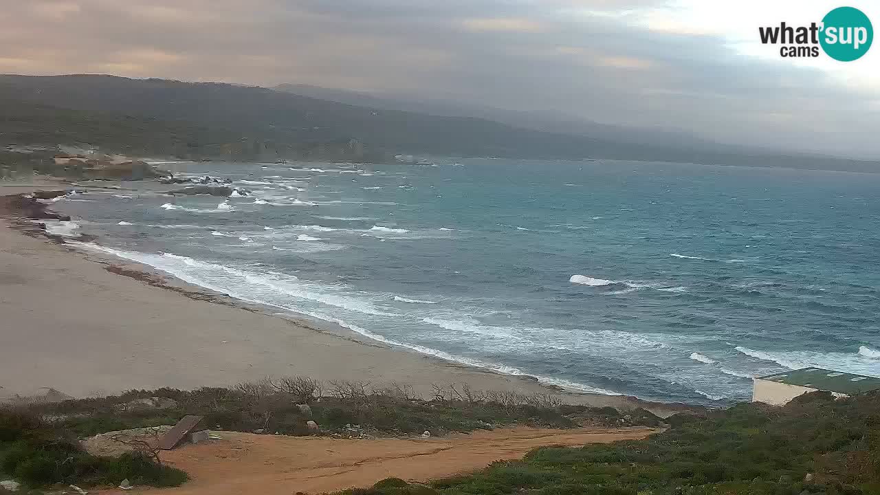 Spiaggia La Liccia webcam Rena Majore – Santa Teresa Gallura livecam Sardegna