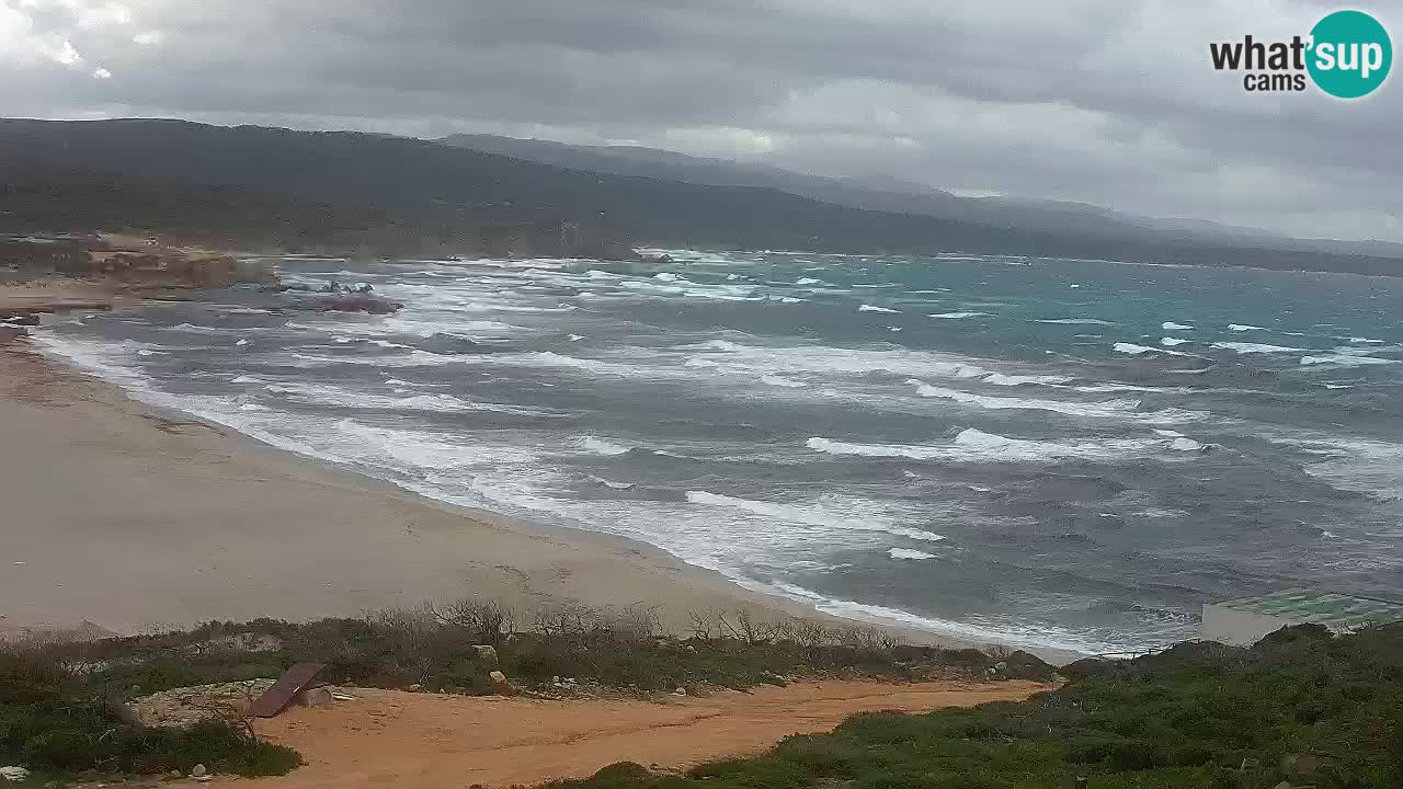 Plaža La Liccia u živo Rena Majore – Santa Teresa Gallura web kamera Sardinija