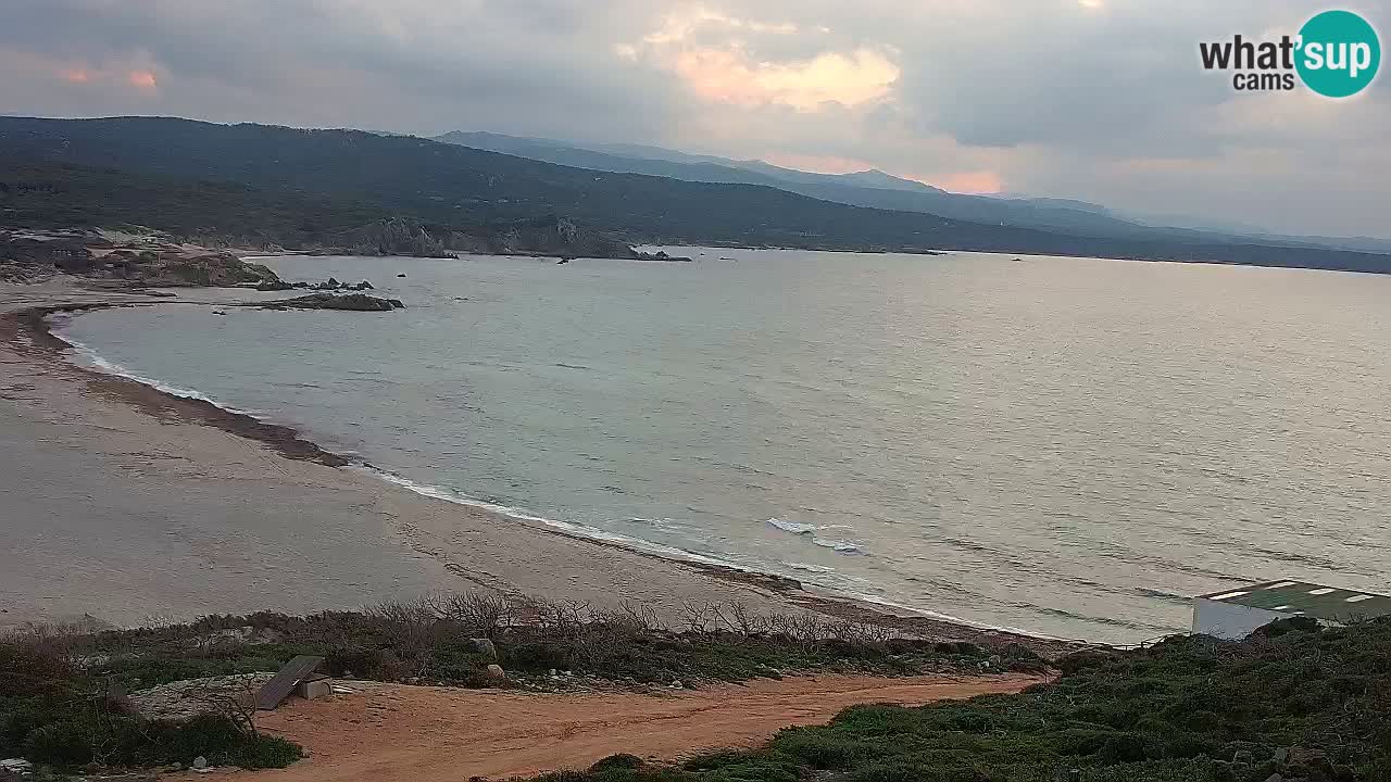 Plaža La Liccia v živo Rena Majore – Santa Teresa Gallura spletna kamera Sardinija