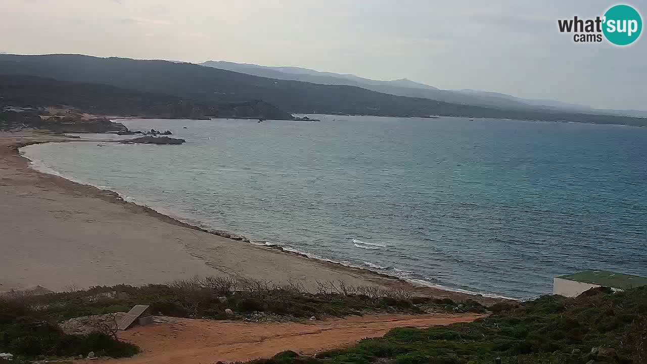 Plaža La Liccia u živo Rena Majore – Santa Teresa Gallura web kamera Sardinija