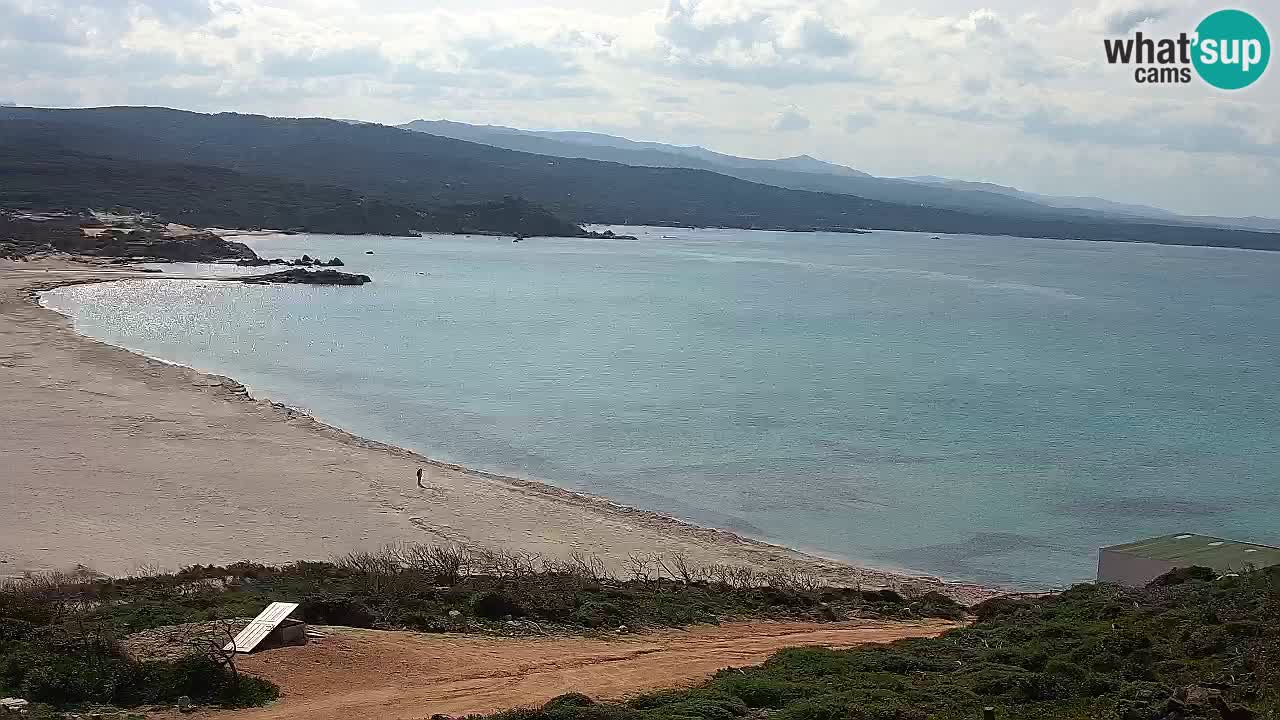 Plaža La Liccia v živo Rena Majore – Santa Teresa Gallura spletna kamera Sardinija