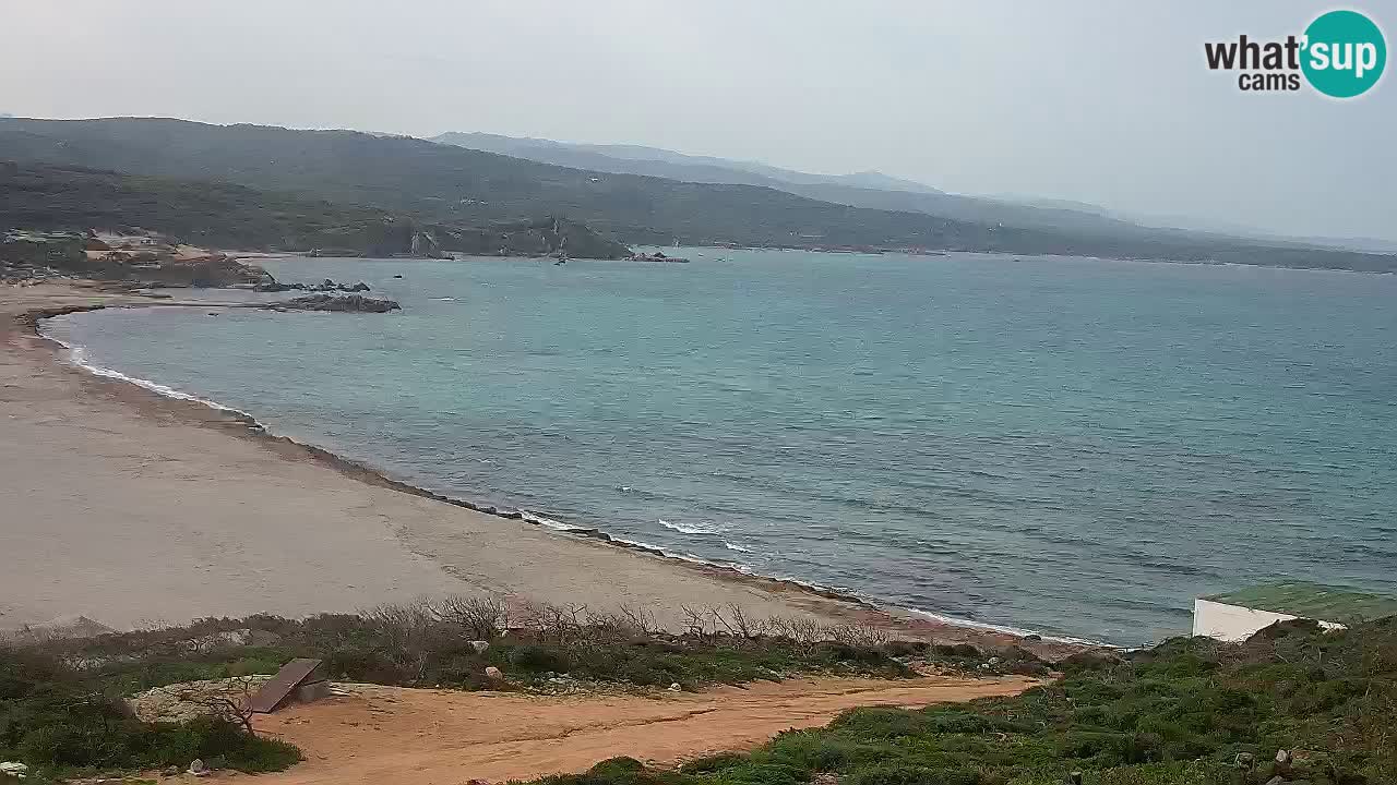 La Liccia plage livecam Rena Majore – Santa Teresa Gallura webcam Sardaigne