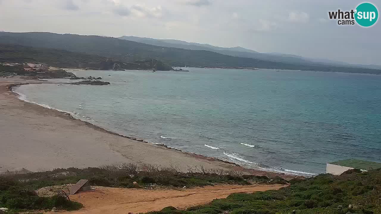 Plaža La Liccia v živo Rena Majore – Santa Teresa Gallura spletna kamera Sardinija