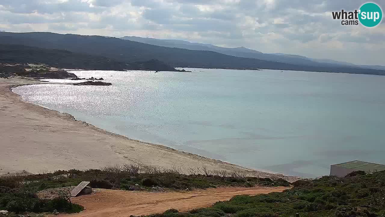 Plaža La Liccia v živo Rena Majore – Santa Teresa Gallura spletna kamera Sardinija