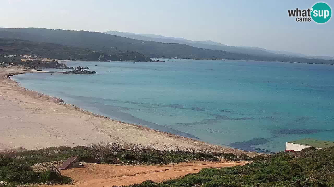 Spiaggia La Liccia webcam Rena Majore – Santa Teresa Gallura livecam Sardegna