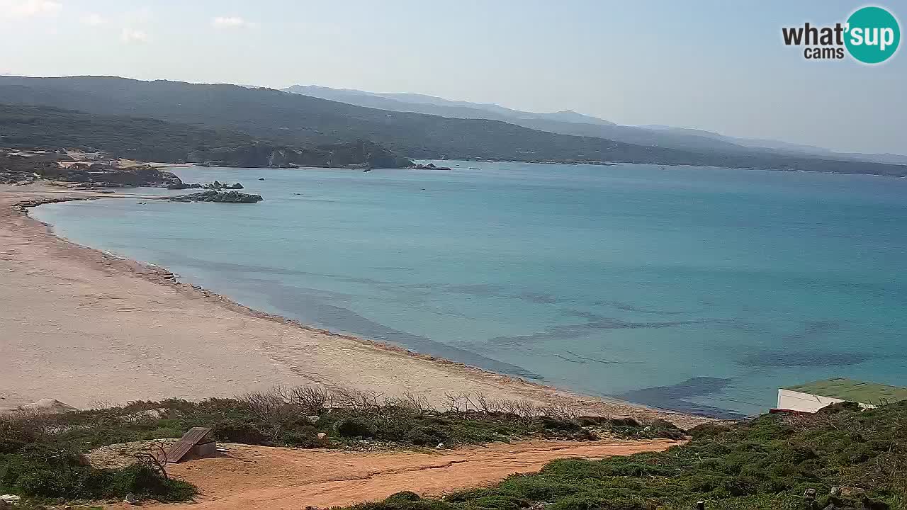 Plaža La Liccia v živo Rena Majore – Santa Teresa Gallura spletna kamera Sardinija