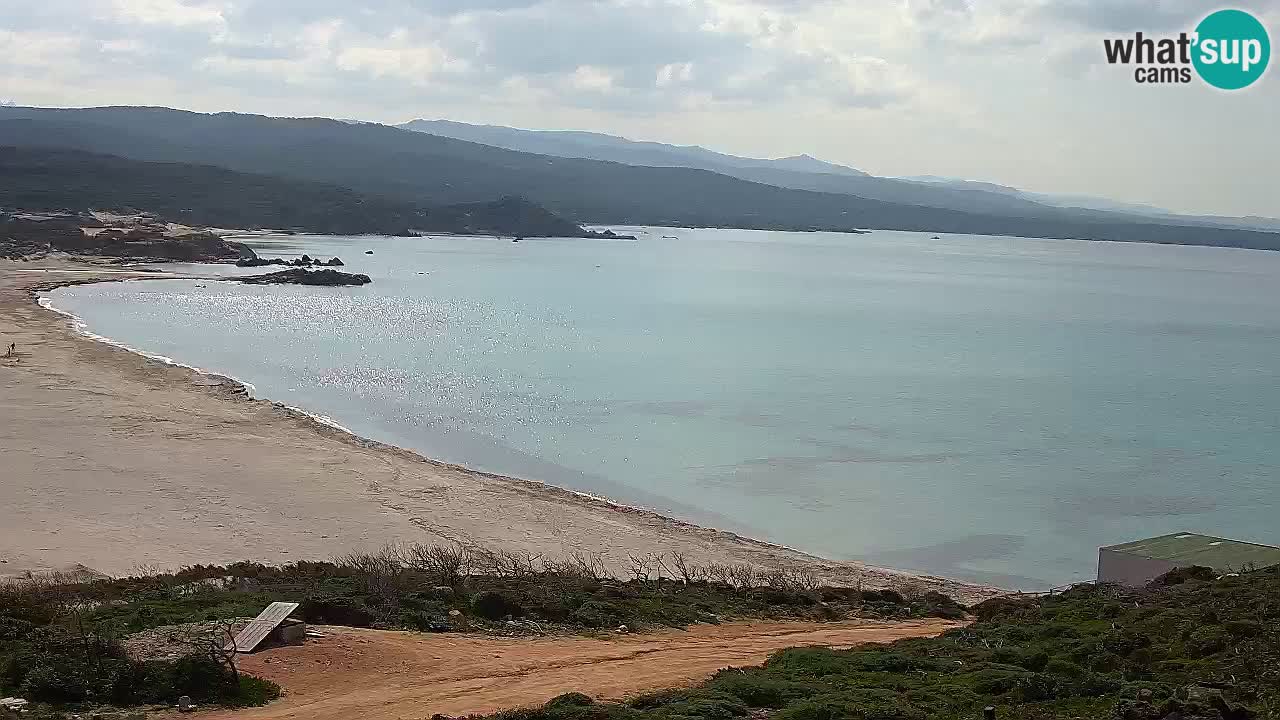 Plaža La Liccia v živo Rena Majore – Santa Teresa Gallura spletna kamera Sardinija