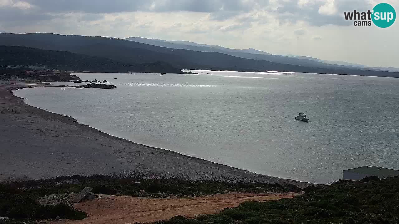 Spiaggia La Liccia webcam Rena Majore – Santa Teresa Gallura livecam Sardegna