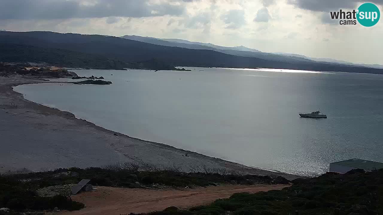 La Liccia beach webcam Rena Majore – Santa Teresa Gallura livecam Sardinia