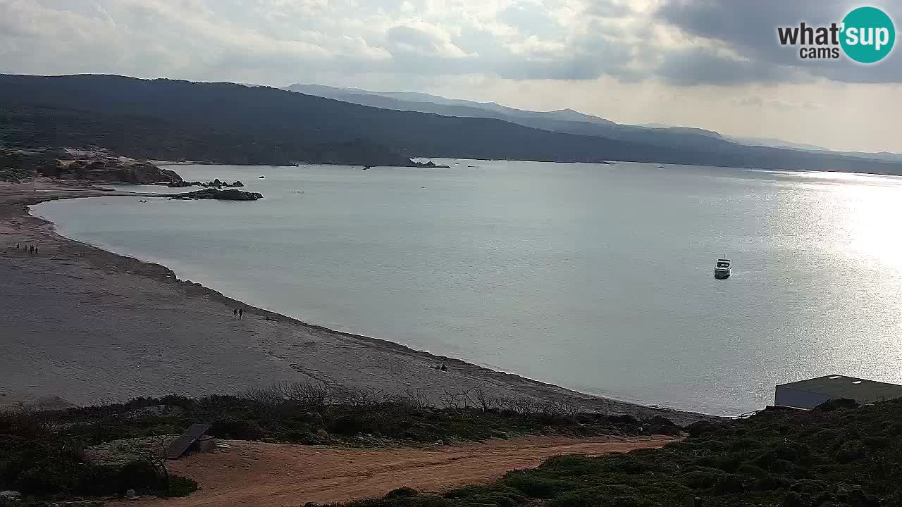 Plaža La Liccia v živo Rena Majore – Santa Teresa Gallura spletna kamera Sardinija