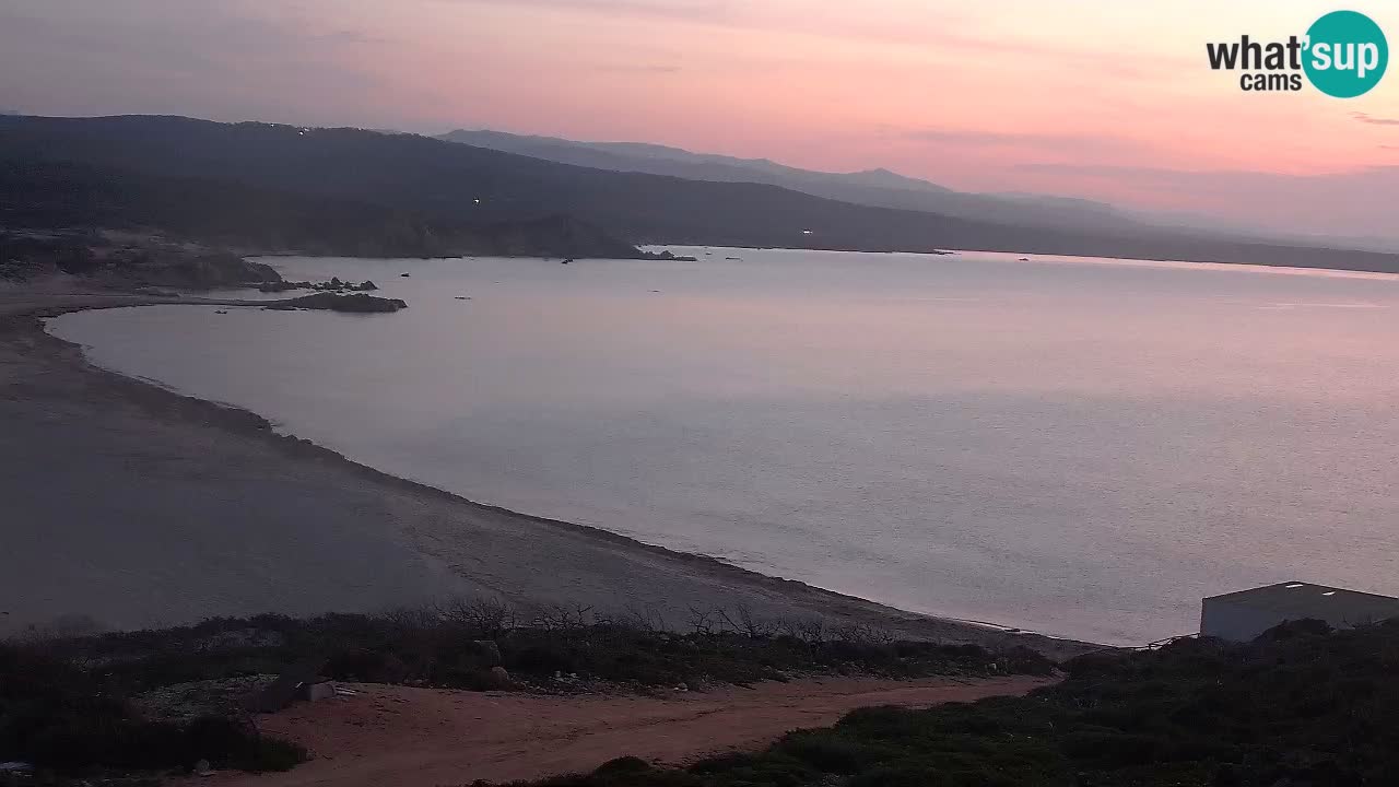 Plaža La Liccia v živo Rena Majore – Santa Teresa Gallura spletna kamera Sardinija