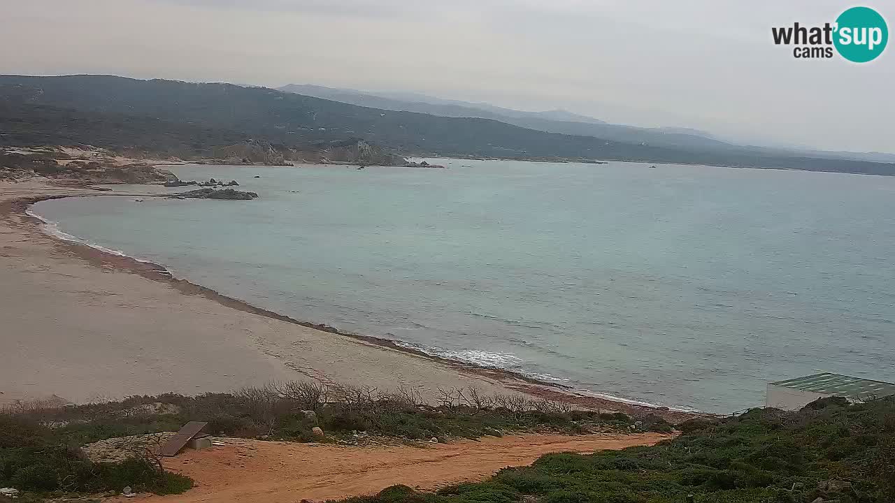 La Liccia playa webcam Rena Majore – Santa Teresa Gallura en vivo Cerdeña