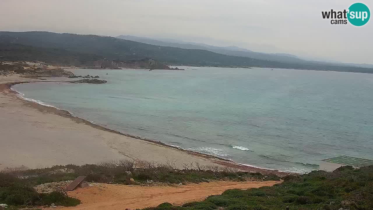 Plaža La Liccia v živo Rena Majore – Santa Teresa Gallura spletna kamera Sardinija