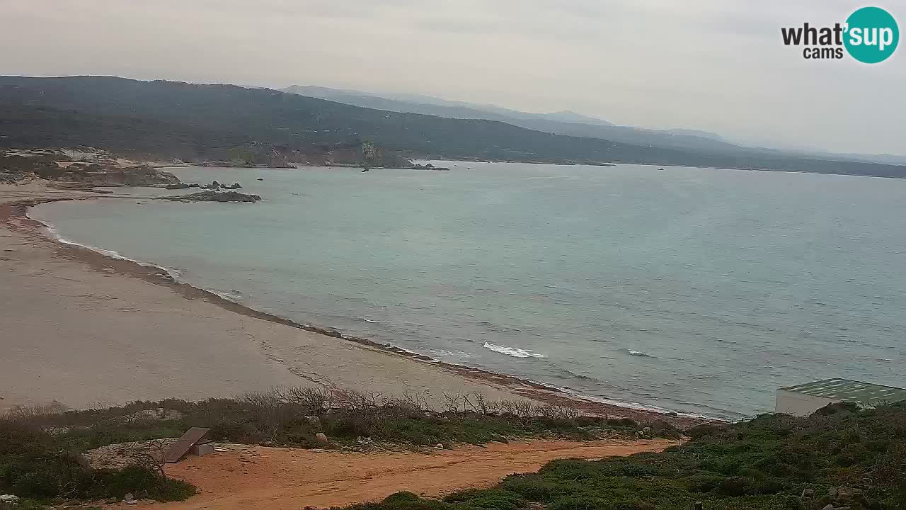 Plaža La Liccia v živo Rena Majore – Santa Teresa Gallura spletna kamera Sardinija