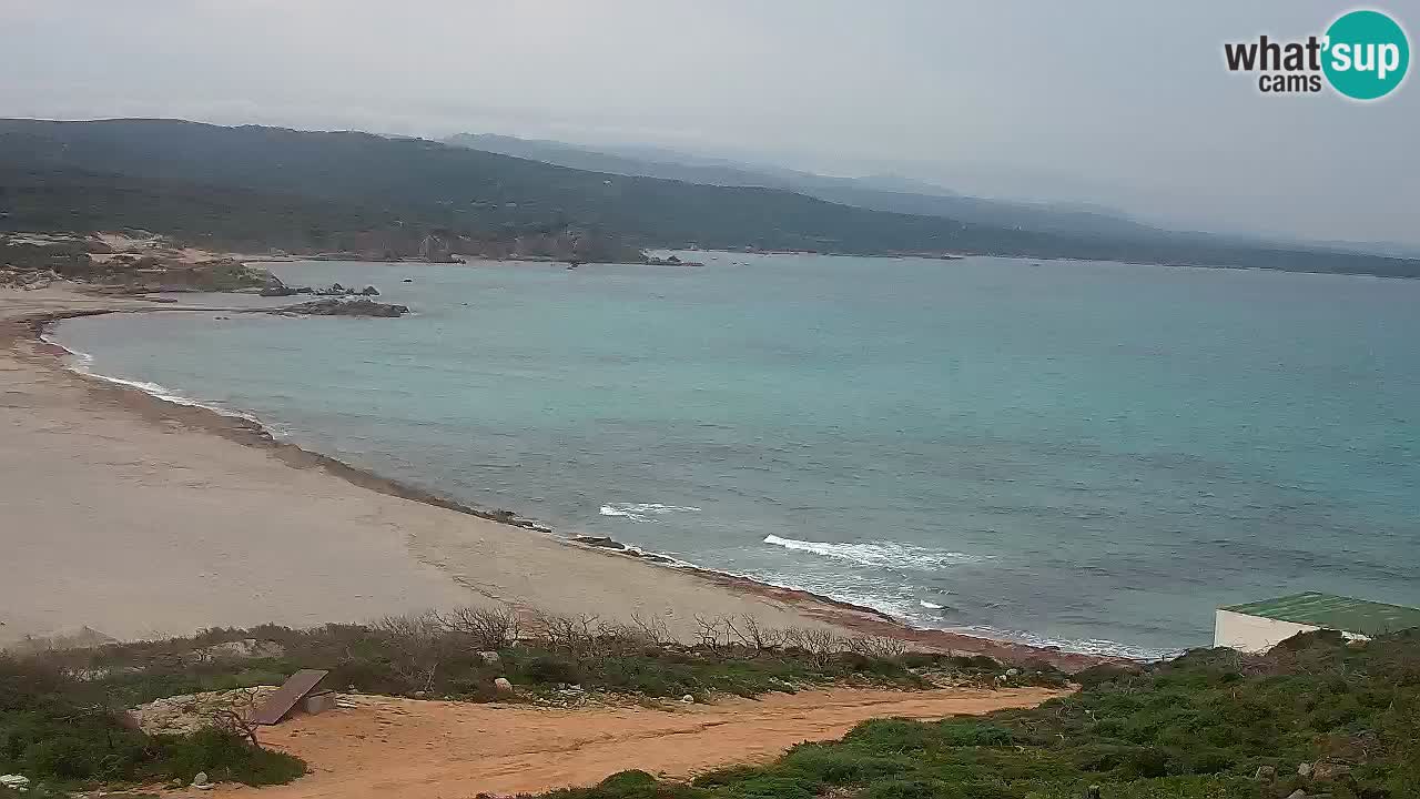 Plaža La Liccia u živo Rena Majore – Santa Teresa Gallura web kamera Sardinija