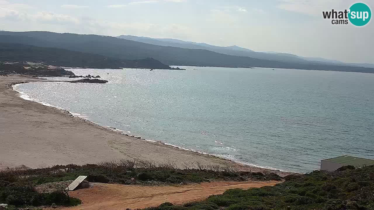 Plaža La Liccia u živo Rena Majore – Santa Teresa Gallura web kamera Sardinija