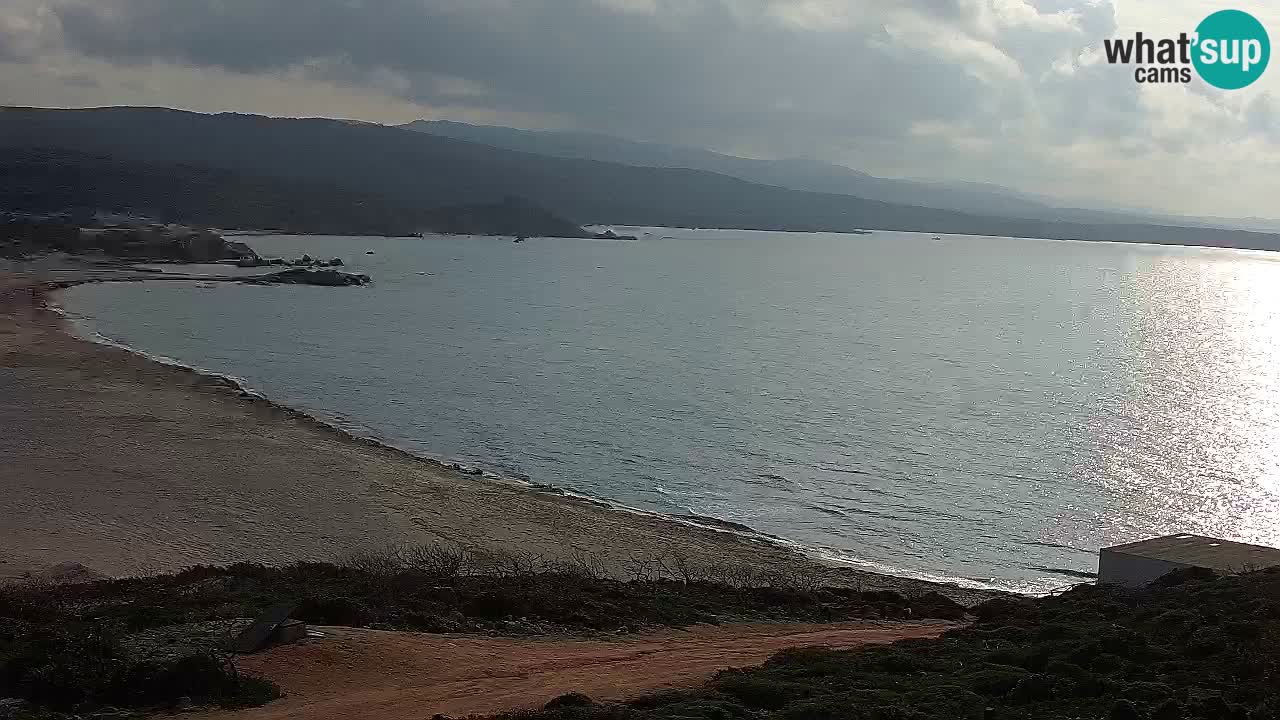 Plaža La Liccia v živo Rena Majore – Santa Teresa Gallura spletna kamera Sardinija