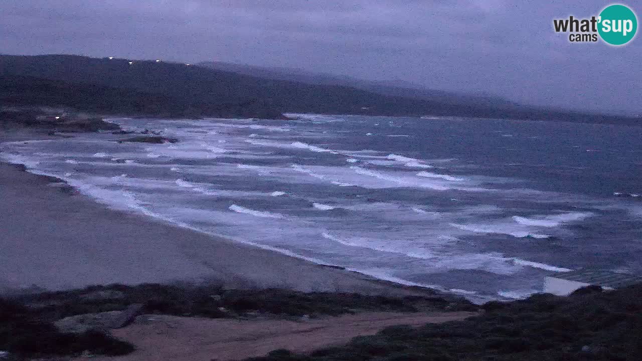 Plaža La Liccia v živo Rena Majore – Santa Teresa Gallura spletna kamera Sardinija