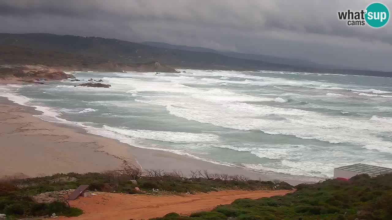 Plaža La Liccia v živo Rena Majore – Santa Teresa Gallura spletna kamera Sardinija