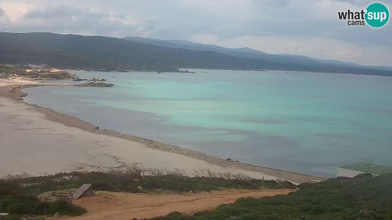 Plaža La Liccia v živo Rena Majore – Santa Teresa Gallura spletna kamera Sardinija