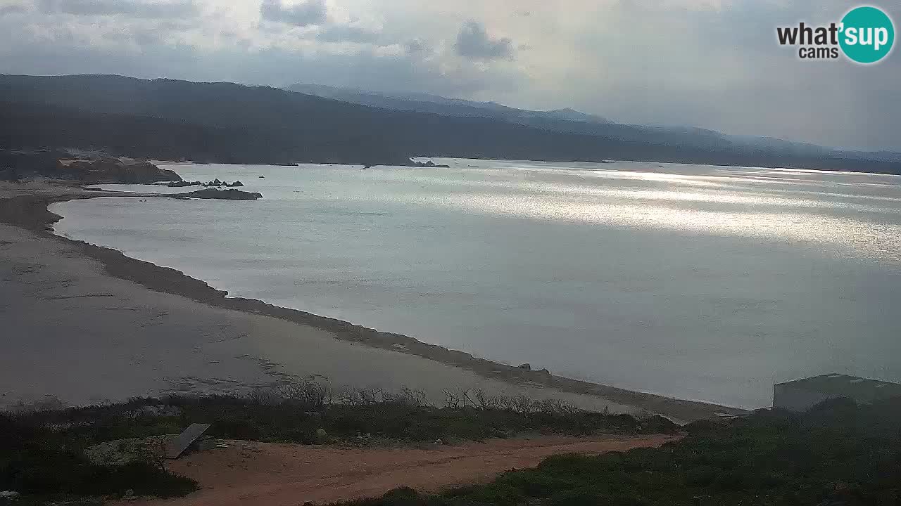 Plaža La Liccia v živo Rena Majore – Santa Teresa Gallura spletna kamera Sardinija