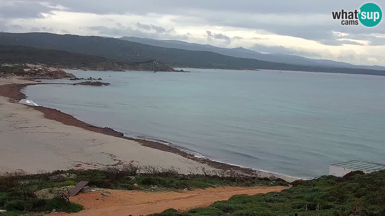 La Liccia playa webcam Rena Majore – Santa Teresa Gallura en vivo Cerdeña