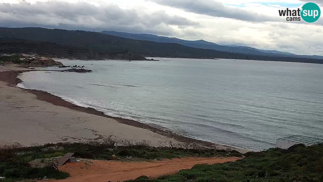 Plaža La Liccia u živo Rena Majore – Santa Teresa Gallura web kamera Sardinija