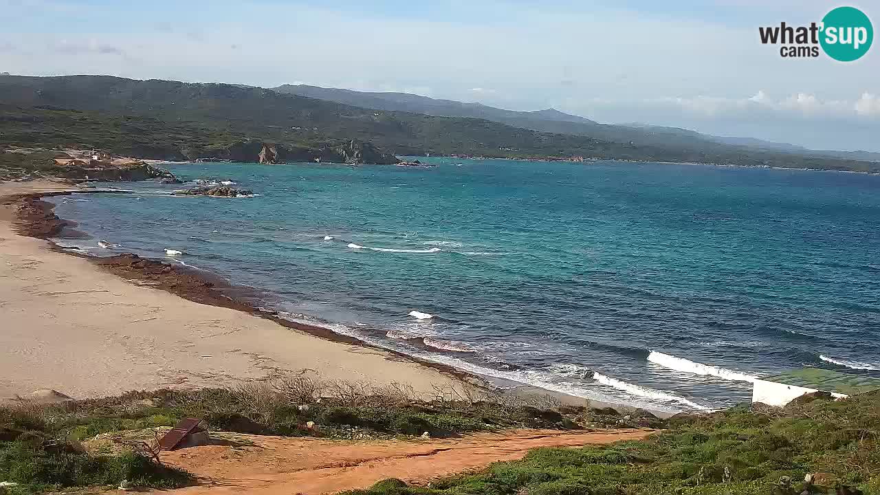 Plaža La Liccia u živo Rena Majore – Santa Teresa Gallura web kamera Sardinija