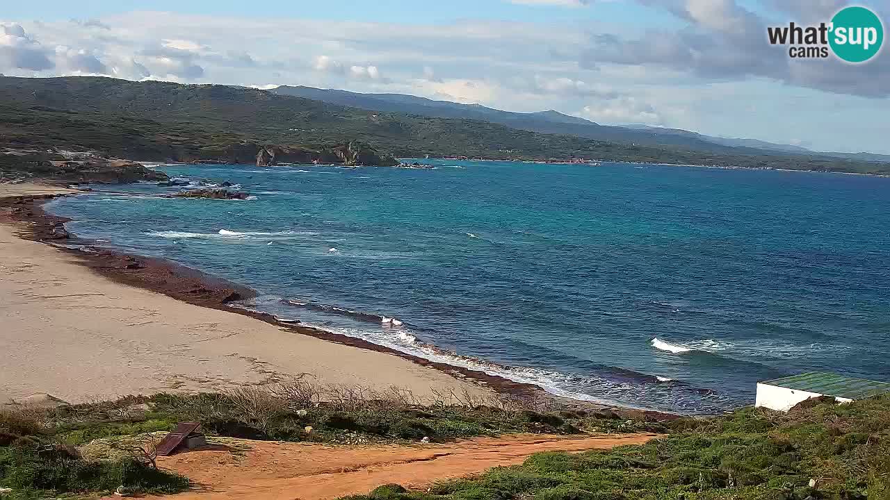 Plaža La Liccia v živo Rena Majore – Santa Teresa Gallura spletna kamera Sardinija