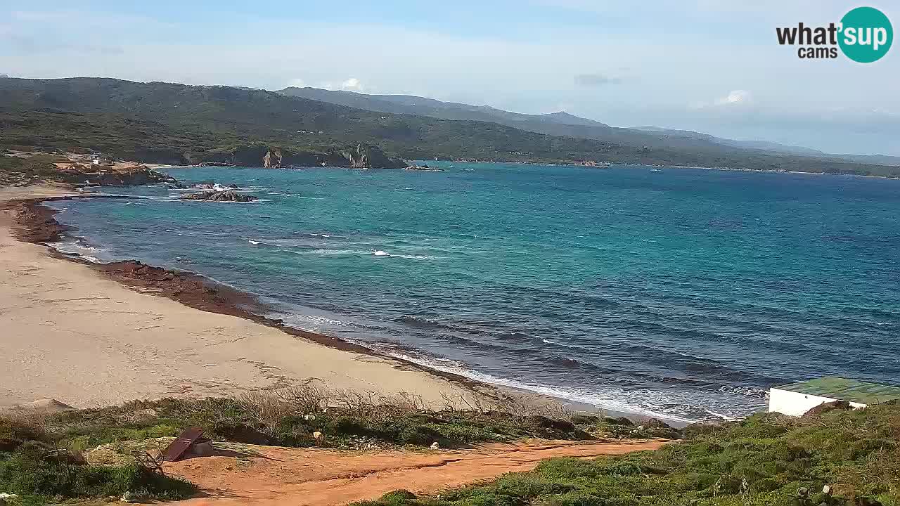 La Liccia playa webcam Rena Majore – Santa Teresa Gallura en vivo Cerdeña