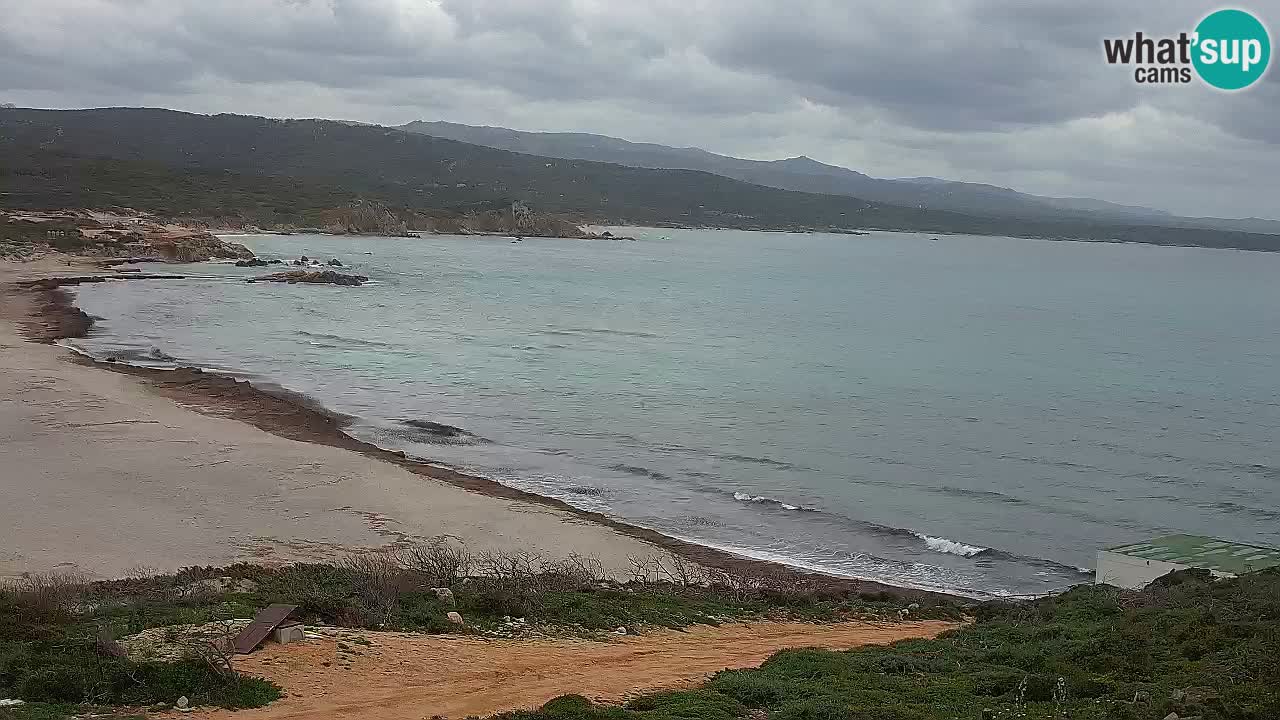 Plaža La Liccia v živo Rena Majore – Santa Teresa Gallura spletna kamera Sardinija