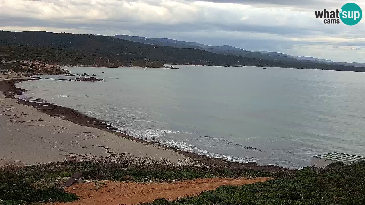 Plaža La Liccia v živo Rena Majore – Santa Teresa Gallura spletna kamera Sardinija