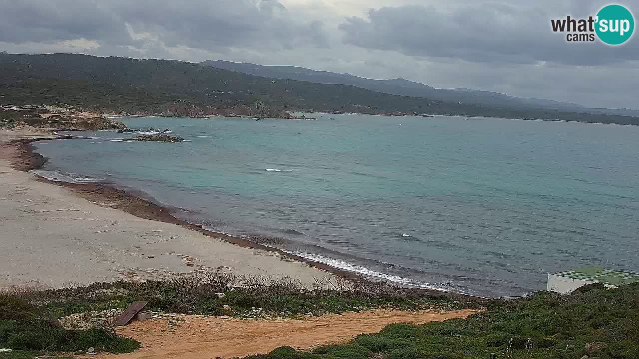 Plaža La Liccia v živo Rena Majore – Santa Teresa Gallura spletna kamera Sardinija