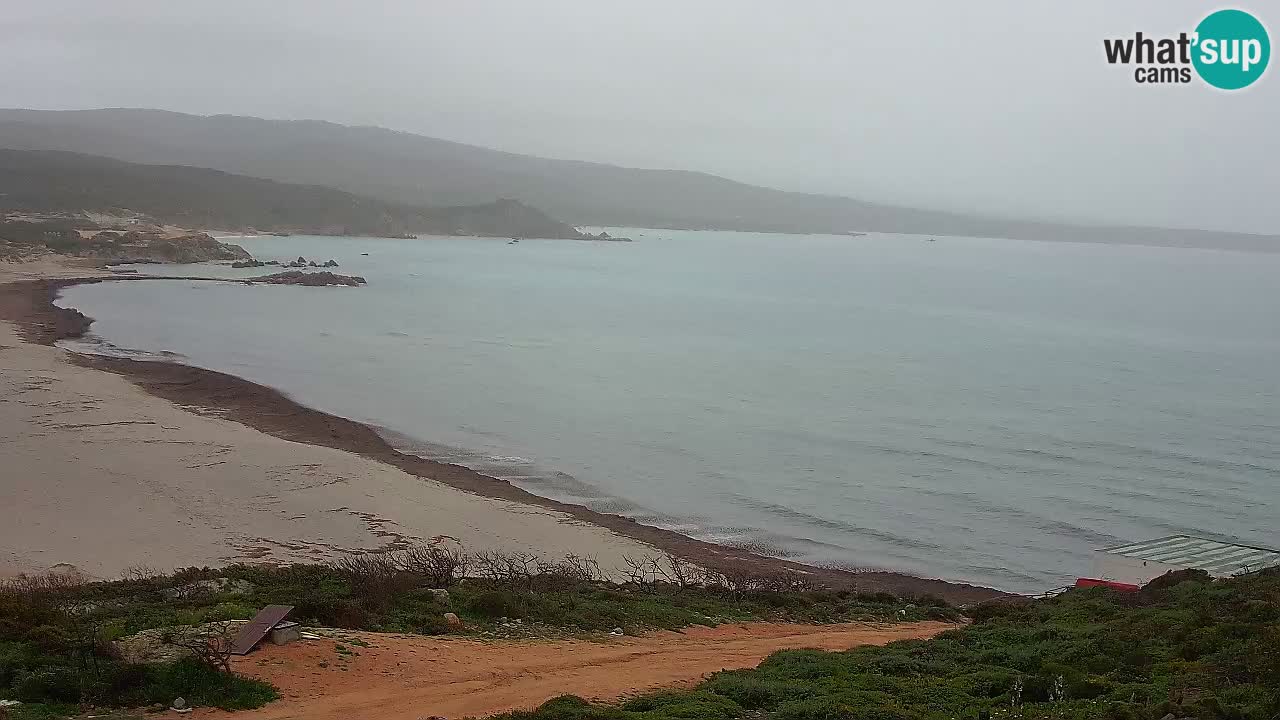 Spiaggia La Liccia webcam Rena Majore – Santa Teresa Gallura livecam Sardegna