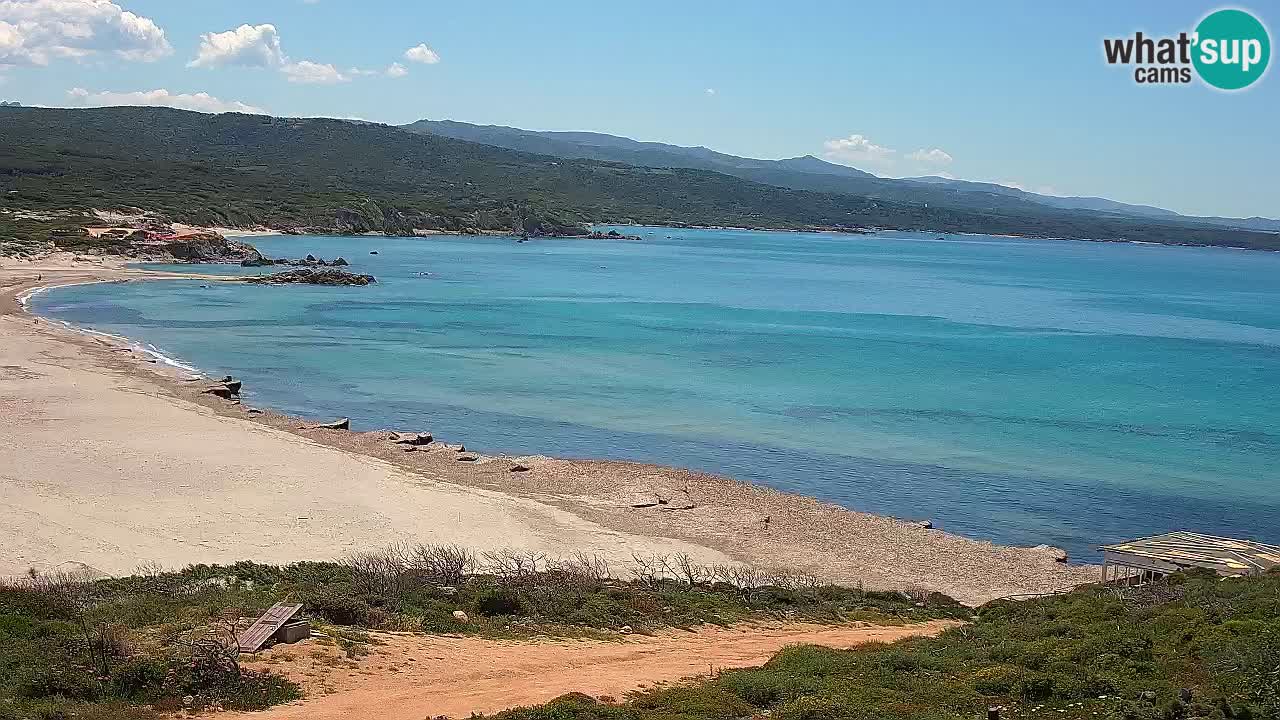 Plaža La Liccia v živo Rena Majore – Santa Teresa Gallura spletna kamera Sardinija