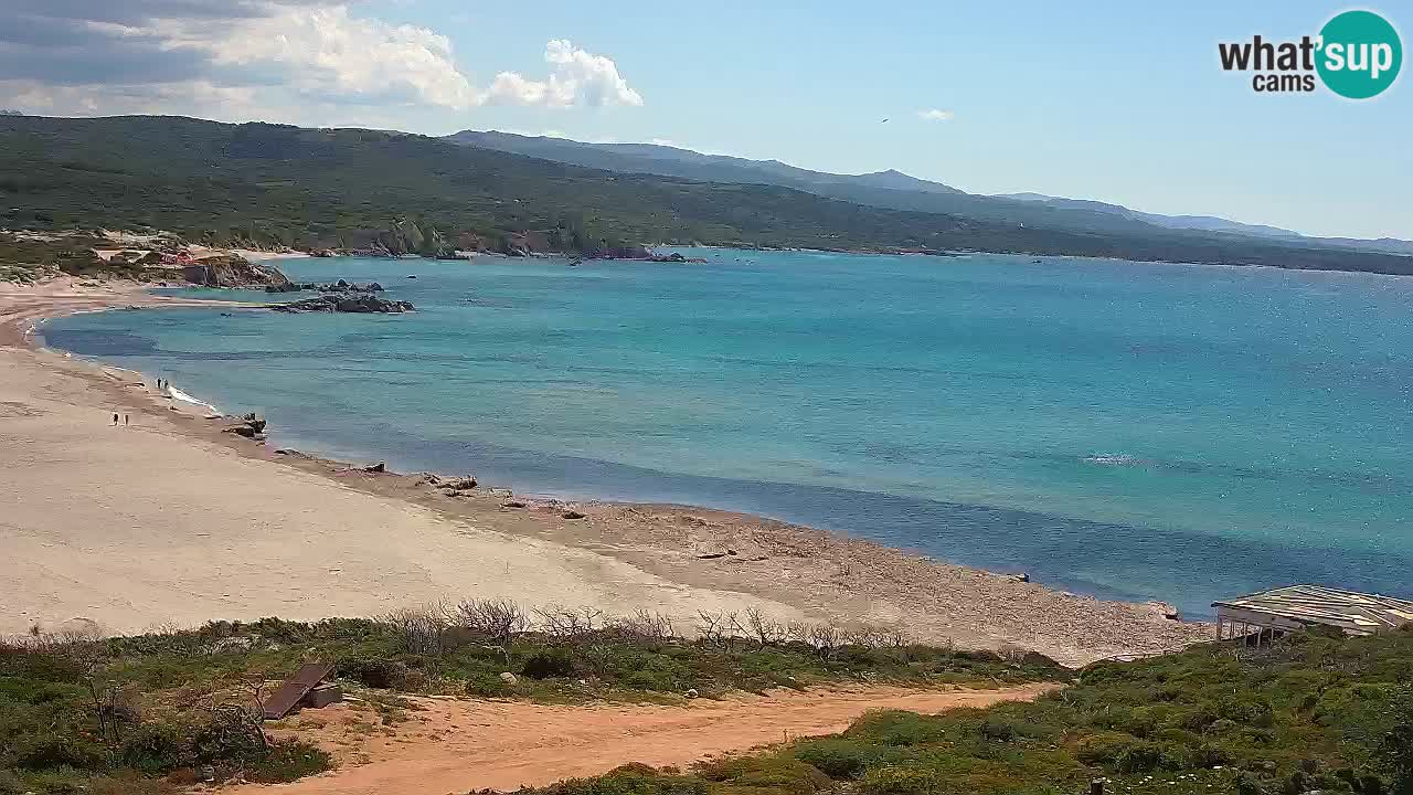 Plaža La Liccia v živo Rena Majore – Santa Teresa Gallura spletna kamera Sardinija