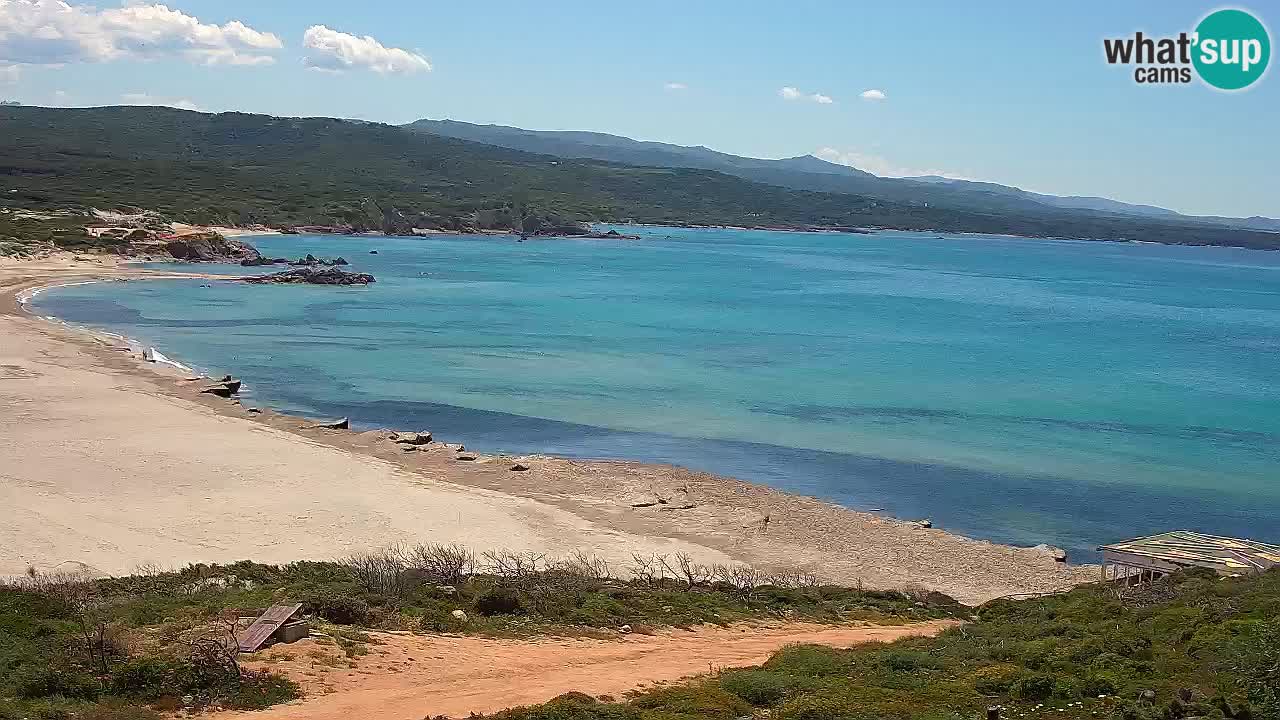 Plaža La Liccia v živo Rena Majore – Santa Teresa Gallura spletna kamera Sardinija