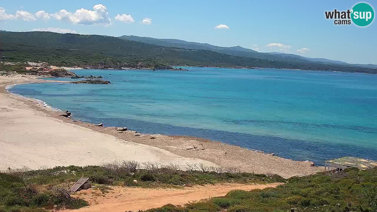 Plaža La Liccia v živo Rena Majore – Santa Teresa Gallura spletna kamera Sardinija