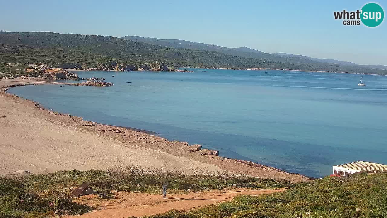 Spiaggia La Liccia webcam Rena Majore – Santa Teresa Gallura livecam Sardegna
