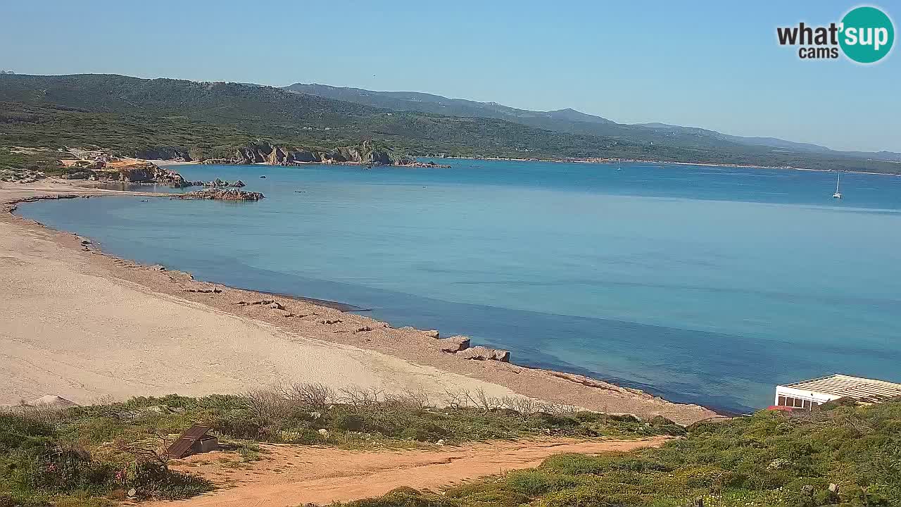 Plaža La Liccia v živo Rena Majore – Santa Teresa Gallura spletna kamera Sardinija