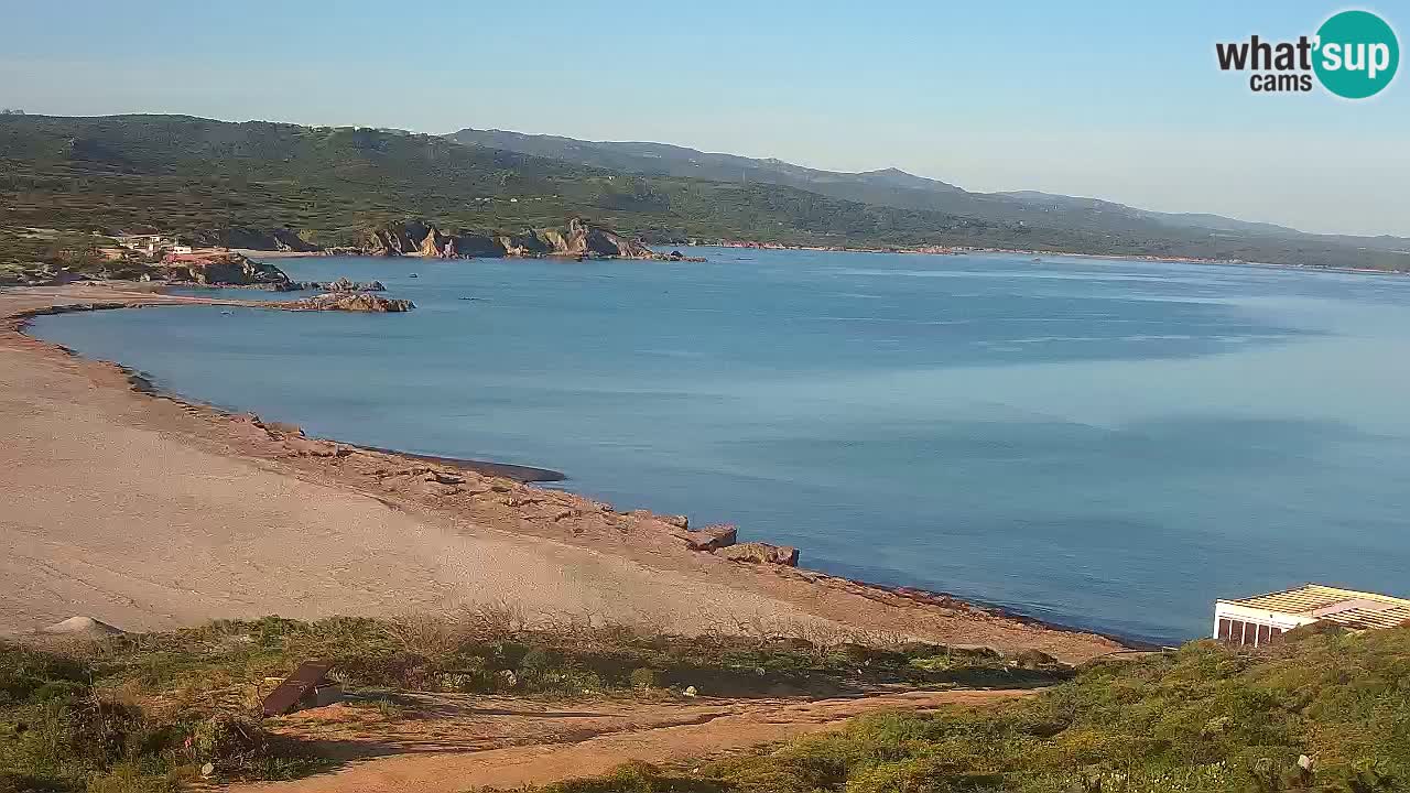 Spiaggia La Liccia webcam Rena Majore – Santa Teresa Gallura livecam Sardegna